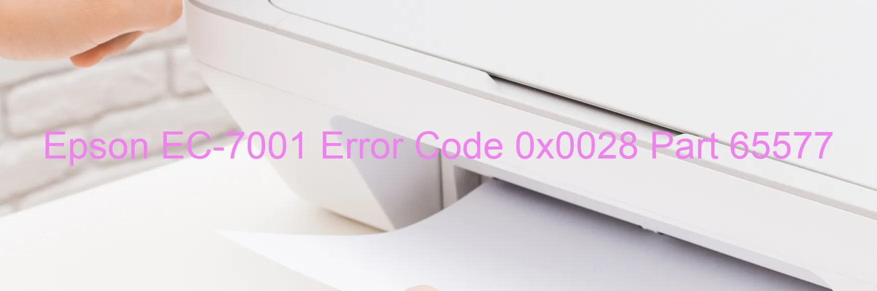 Epson EC-7001 Código de error 0x0028