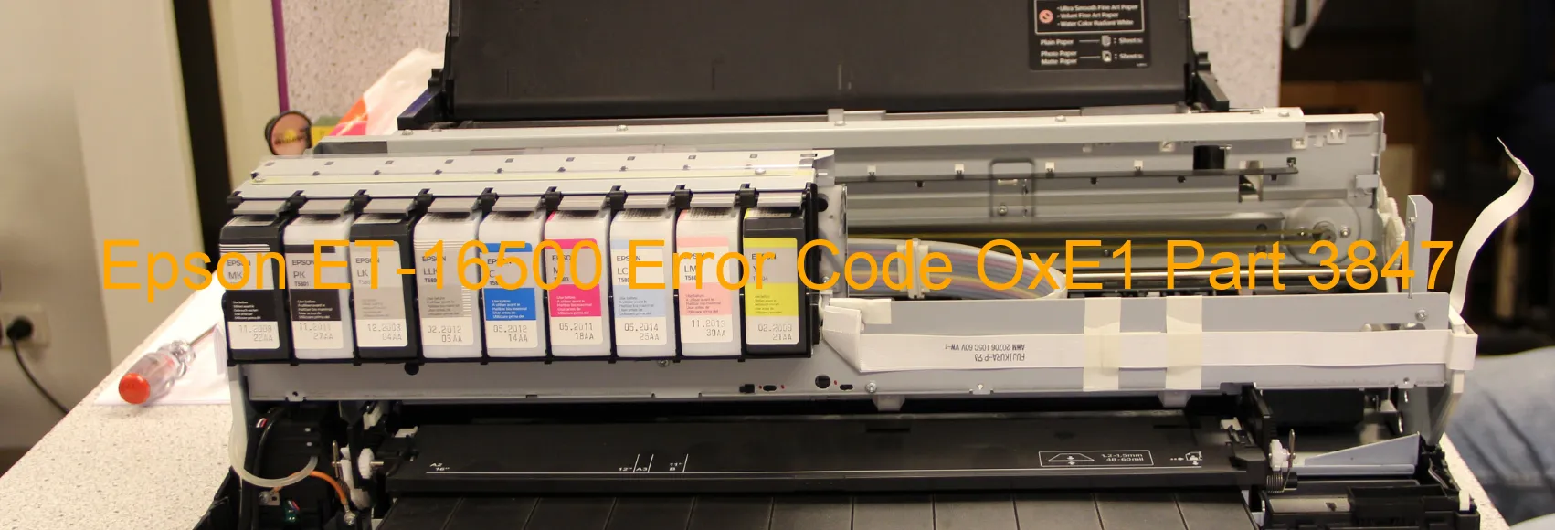 Epson ET-16500 Código de error OxE1